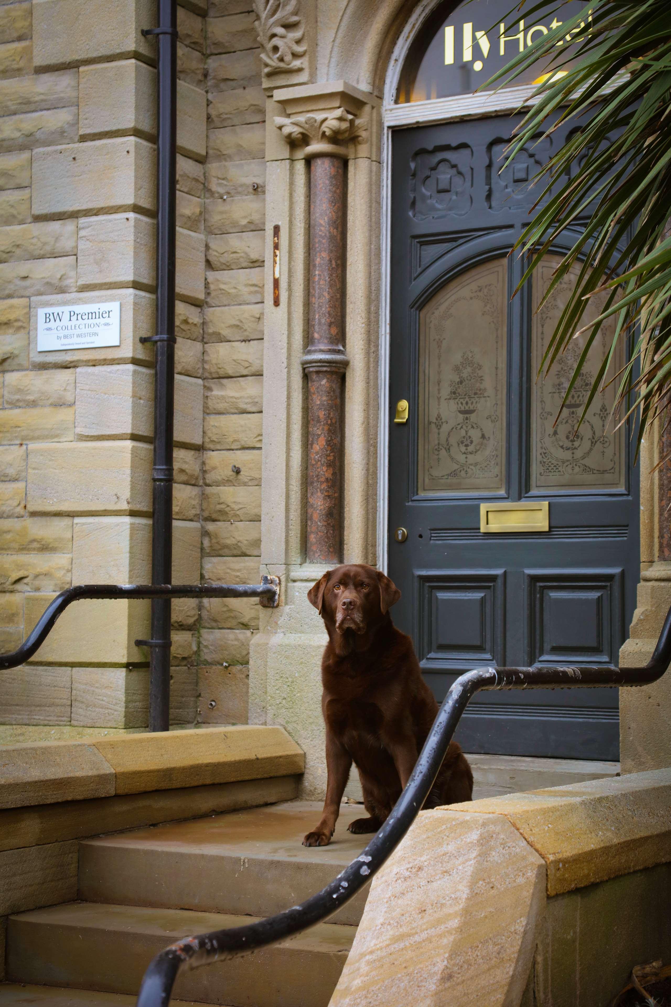 Hy Lytham St Anne'S Lejlighedshotel Lytham St Annes Eksteriør billede A dog guards the entrance to the house